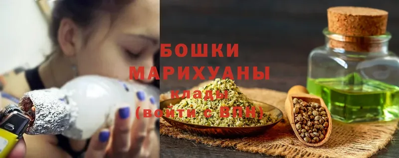 Бошки марихуана VHQ  где можно купить   Елизаветинская 